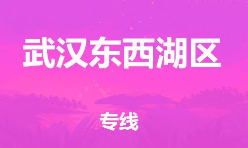 東莞到武漢東西湖區物流公司,東莞到武漢東西湖區物流專線直達貨運