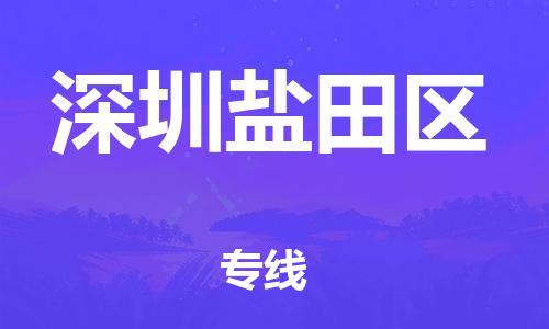 廣州到深圳鹽田區(qū)物流公司直達(dá)貨運(yùn),廣州到深圳鹽田區(qū)物流專線