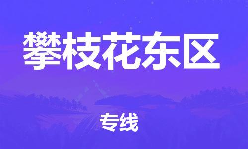 廣州到攀枝花東區物流公司直達貨運,廣州到攀枝花東區物流專線